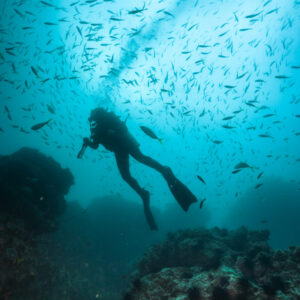 buceo en robinson crusoe
