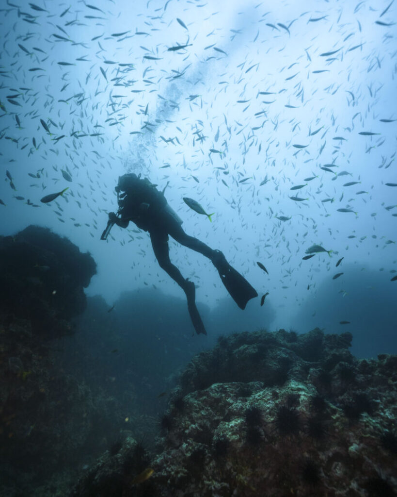 robinsoncrusoe_vuelo_7